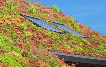 Westlea living roof systems